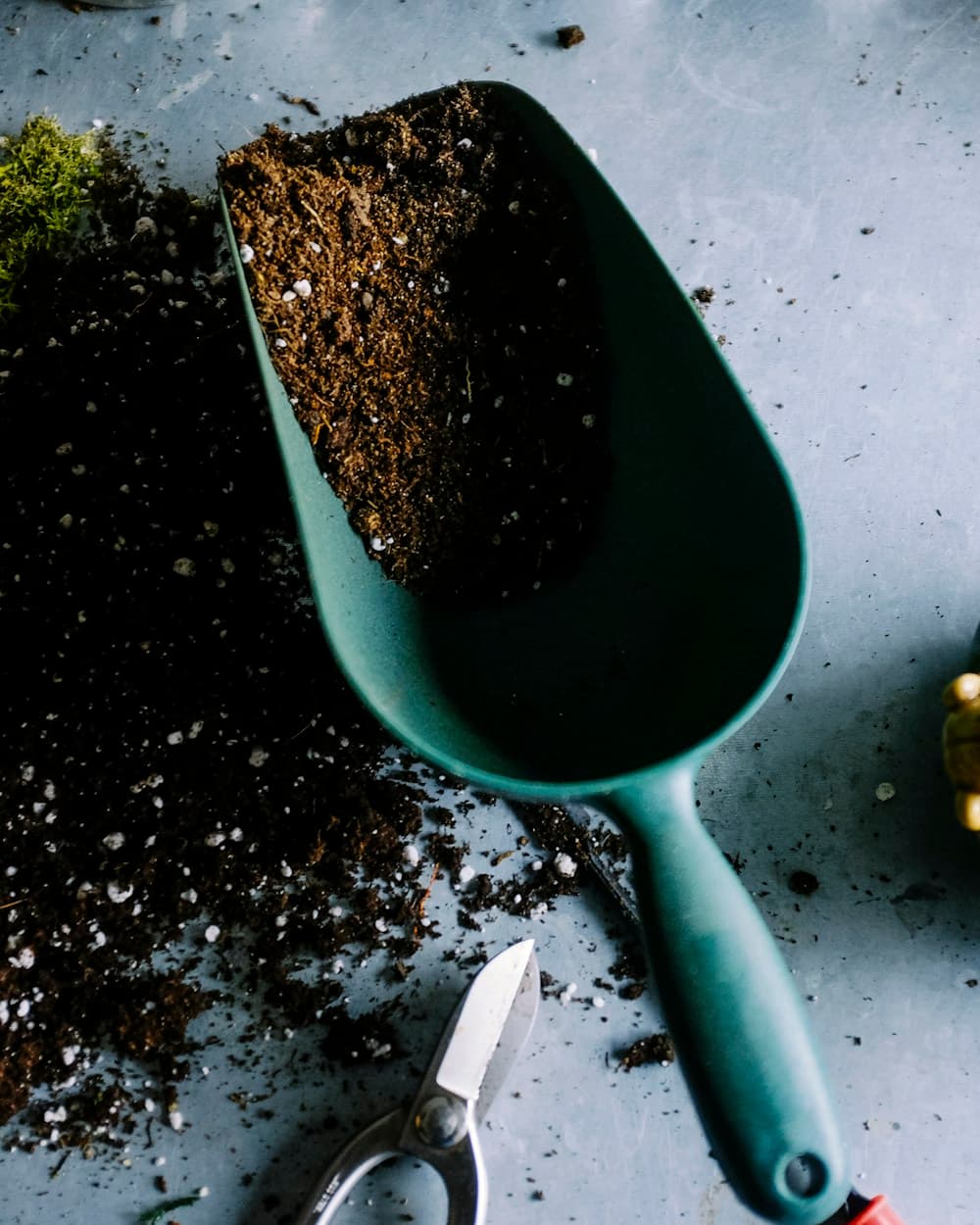 Plant care tools arranged for attentive daily use